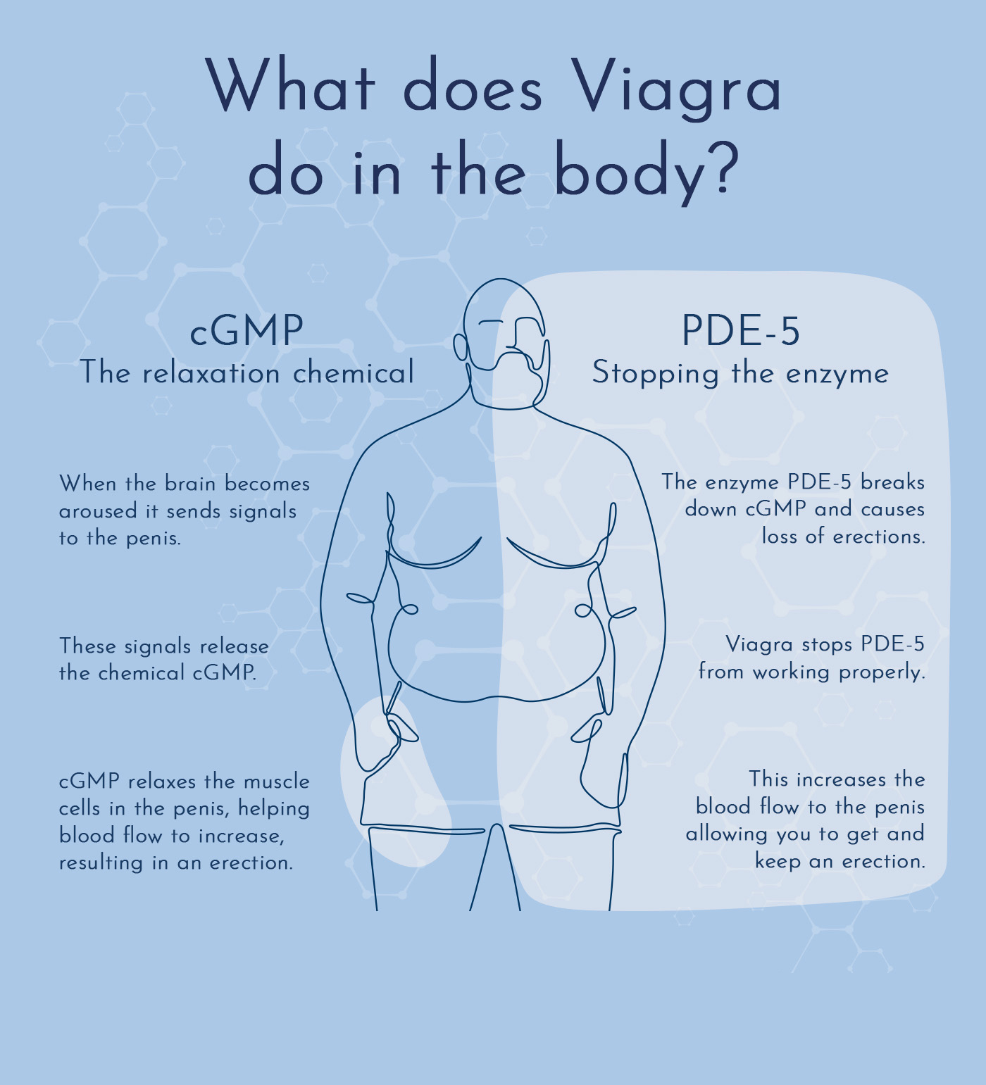 COD单页系统建站,联系QQ:494906791/微信:Cod_web